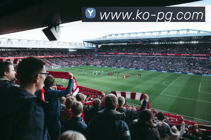 App Interface Preview